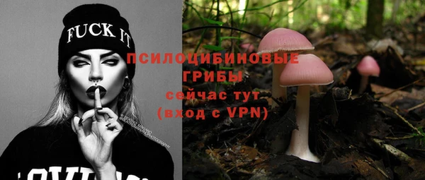 хмурый Зеленокумск