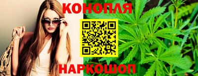 гашик Ирбит