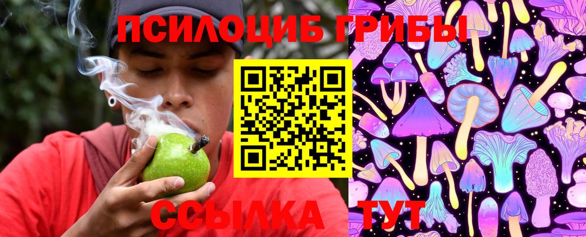 Галлюциногенные грибы мухоморы Можайск